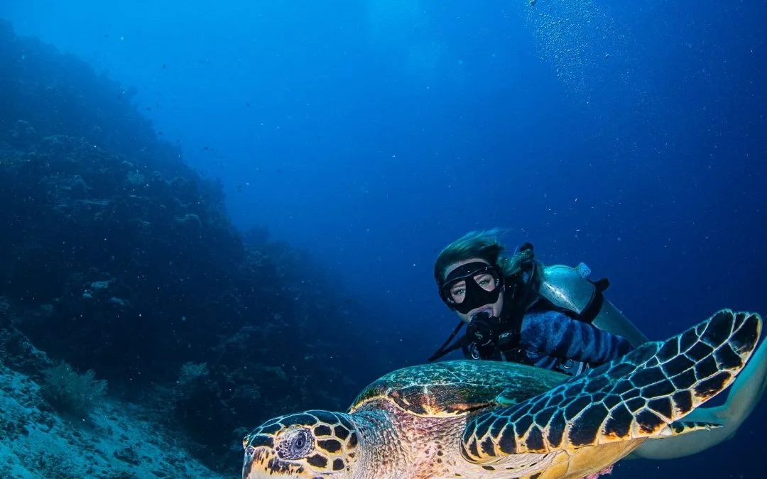 Entdecken Sie Unterwasserwunder im Khao Lak Tauchcenter – Exklusive Tipps von khaolakexplorer