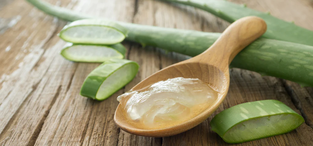 Wie Unabhängige Distributoren Aloe Vera Forever Lips als Schlüsselprodukt nutzen